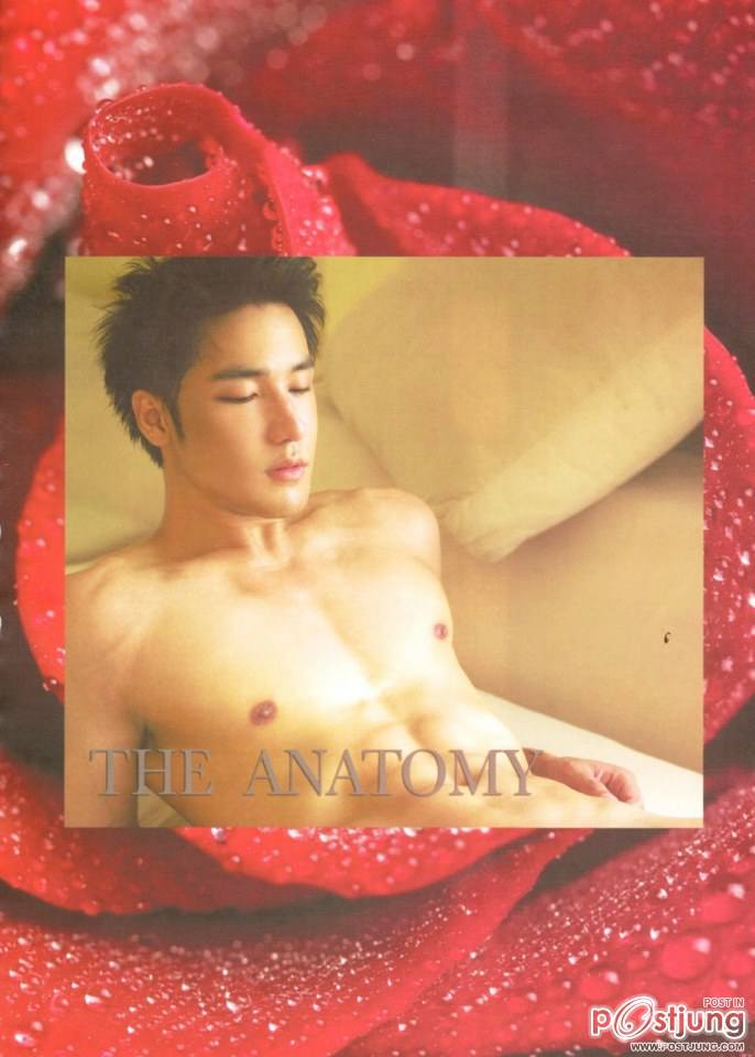 Antatomy