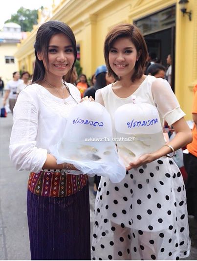 ตามดูสาวๆแกรมมี่ โกลด์ แห่เทียนกัน