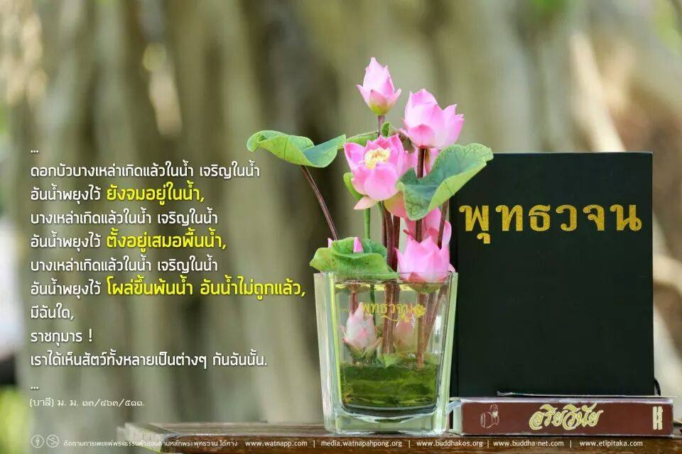 (( พุทธวจน ธรรมจากพระโอษฐ์ ))