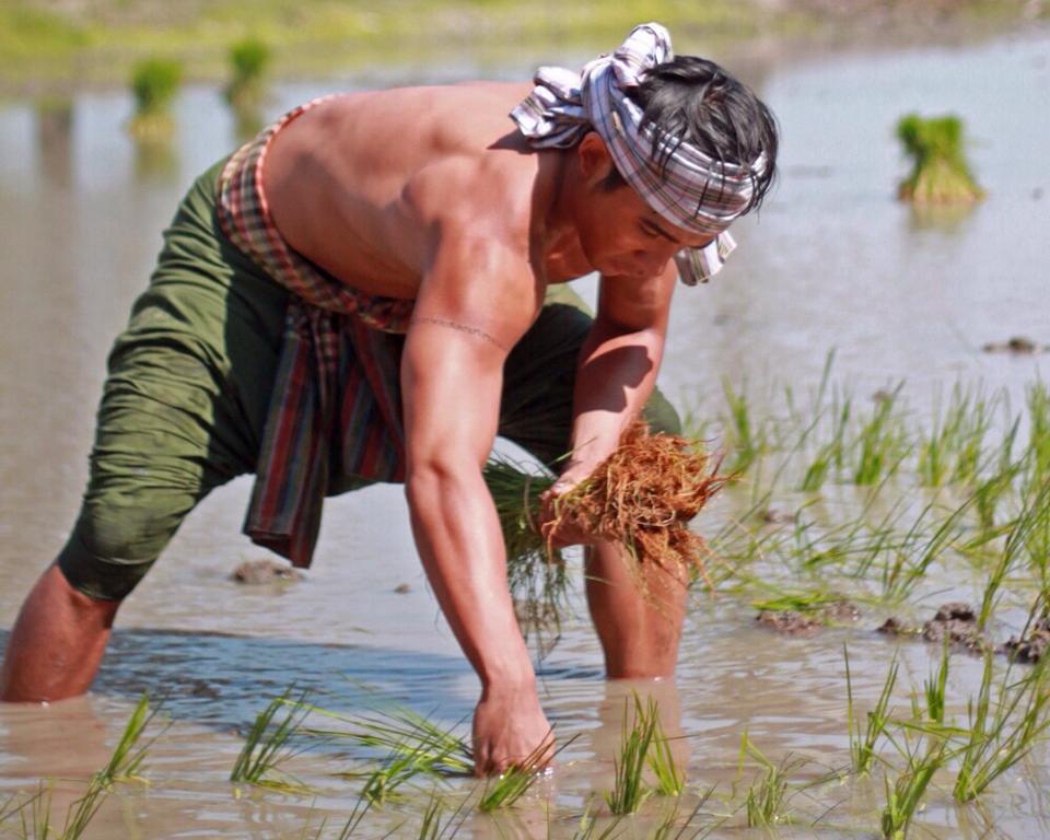 ไอ้ขวัญ ในหนัง แผลเก่า 2014