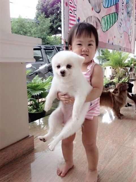 บ้านฉัตรบริรักษ์ คนอะไร หล่อตลกครบสูตร