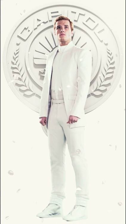 Poster มาใหม่จาก THG Mocking Jay p.1