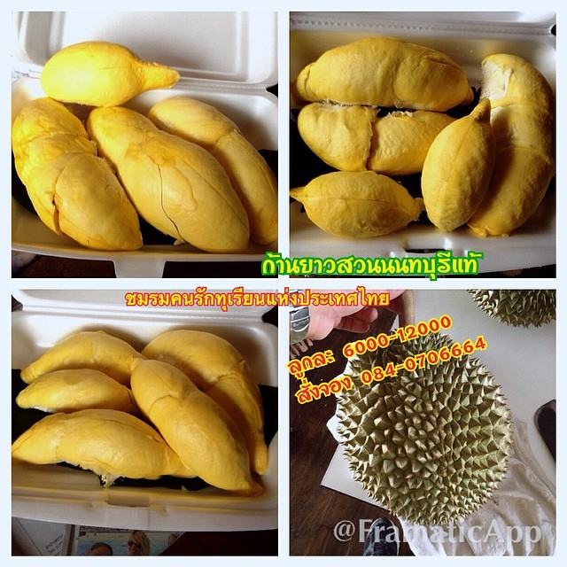 ทุเรียนนนท์ ปี57 ถึงมีน้อยแต่ก็พอได้ชิมกัน