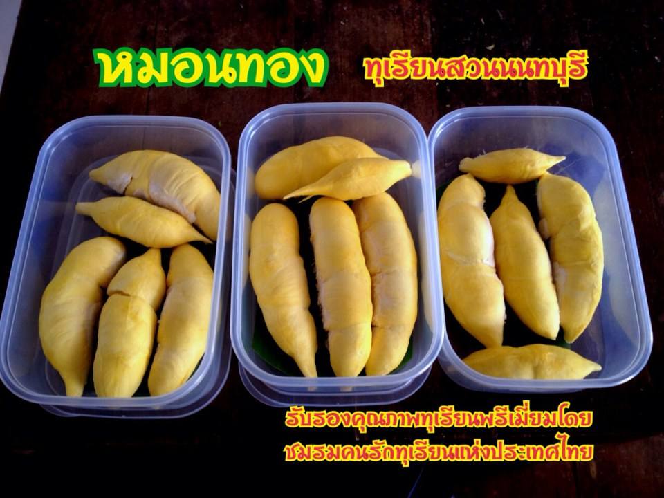 ทุเรียนนนท์ ปี57 ถึงมีน้อยแต่ก็พอได้ชิมกัน