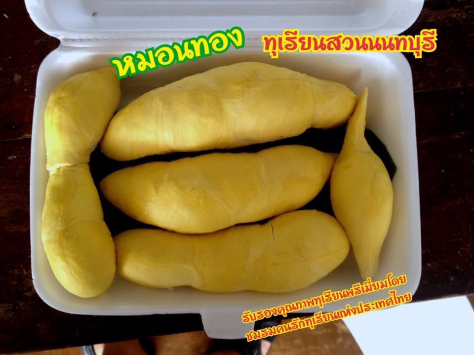 ทุเรียนนนท์ ปี57 ถึงมีน้อยแต่ก็พอได้ชิมกัน