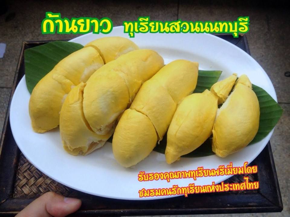 ทุเรียนนนท์ ปี57 ถึงมีน้อยแต่ก็พอได้ชิมกัน