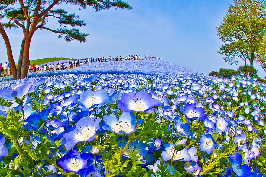 สวรรค์สีฟ้า