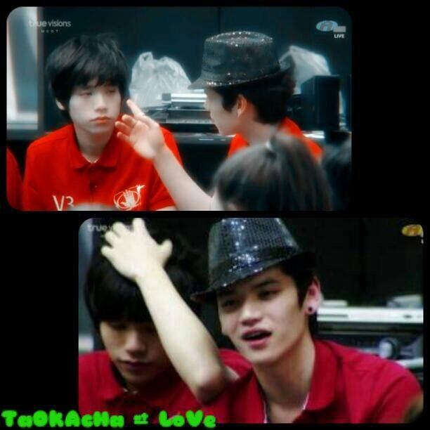 เต๋าคชาเดินแบบ