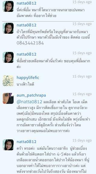 "อั้ม พัชราภา" ช่วยเหลือน้องหมาจรจัดที่โดนวางยาเบื่อจนปลอดภัย