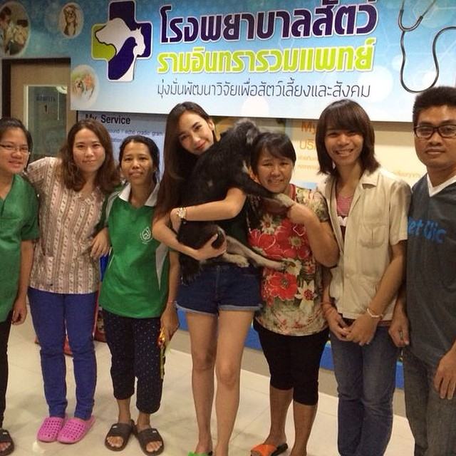 "อั้ม พัชราภา" ช่วยเหลือน้องหมาจรจัดที่โดนวางยาเบื่อจนปลอดภัย