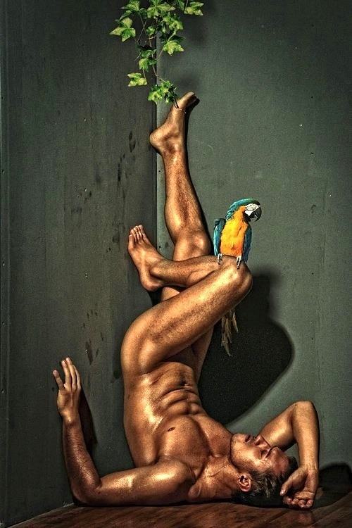 eros men 27