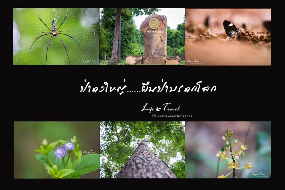ท่องเที่ยวบุรีรัมย์บูม ททท.เตรียมดันเป็นเมืองท่องเที่ยวหลักของอีสาน