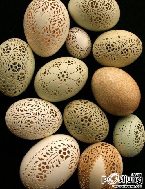 เปลือกไข่ Amazing Egg