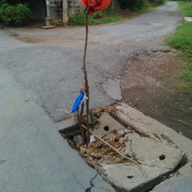 ภาพจริงสลดใจ..รู้สึกอย่างไรกับภาพเหล่านี้? Invisible Thailand
