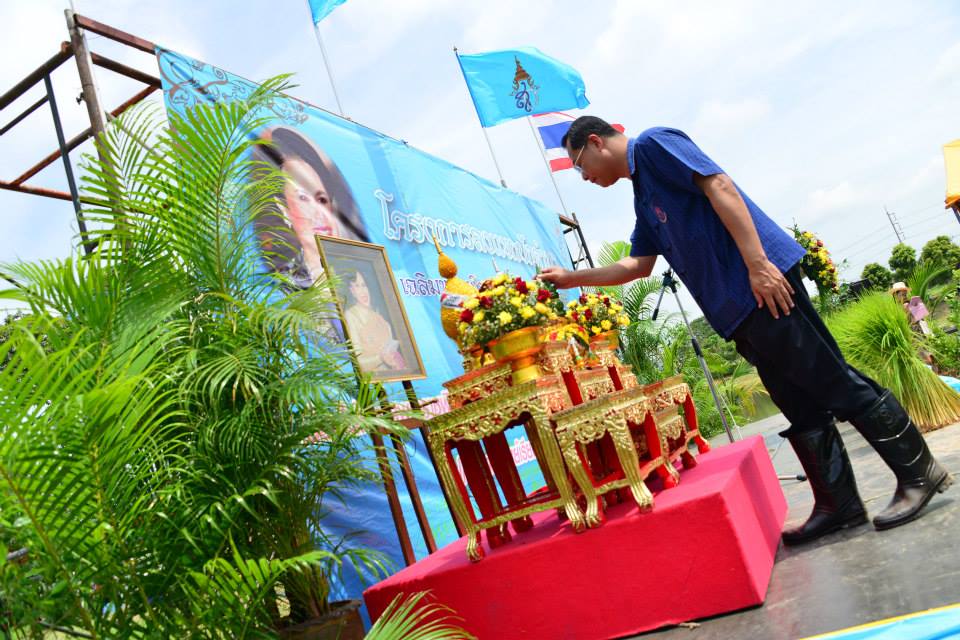 โอ้ย ชุดไปดำนา ปลูกวันแม่เก็บเกี่ยววันพ่อ