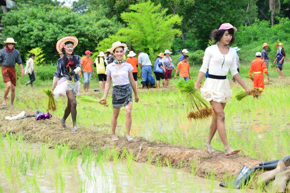 โอ้ย ชุดไปดำนา ปลูกวันแม่เก็บเกี่ยววันพ่อ