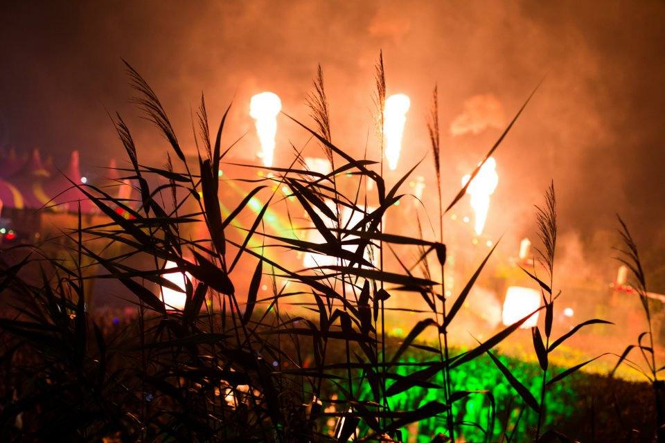 TOMORROWLAND