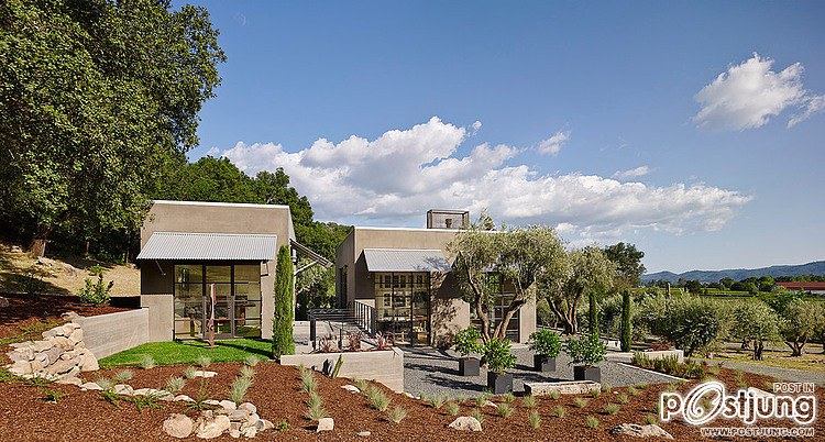 Olive Grove Residence by Total Concepts