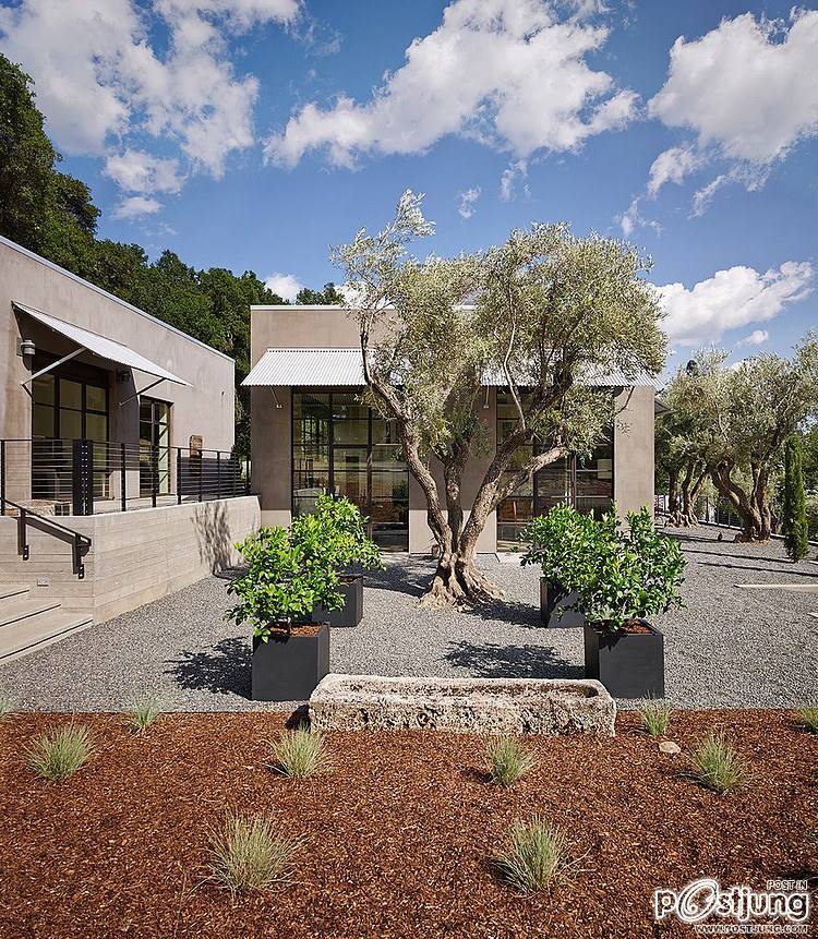 Olive Grove Residence by Total Concepts