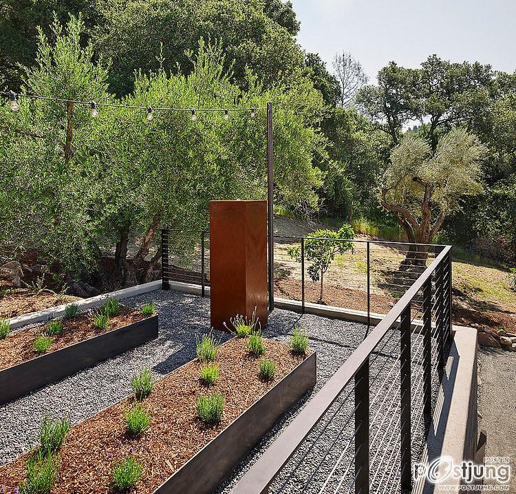 Olive Grove Residence by Total Concepts