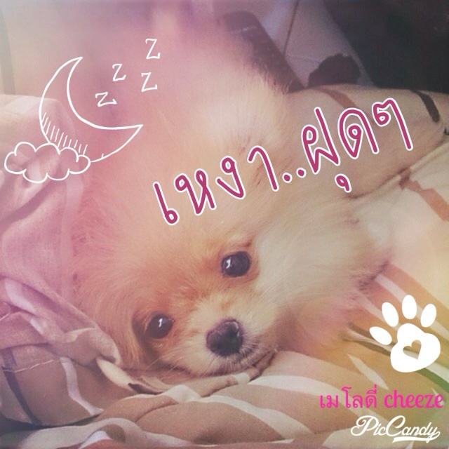 น้องปอมหลายอารมณ์