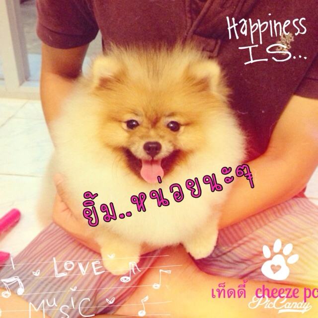 น้องปอมหลายอารมณ์