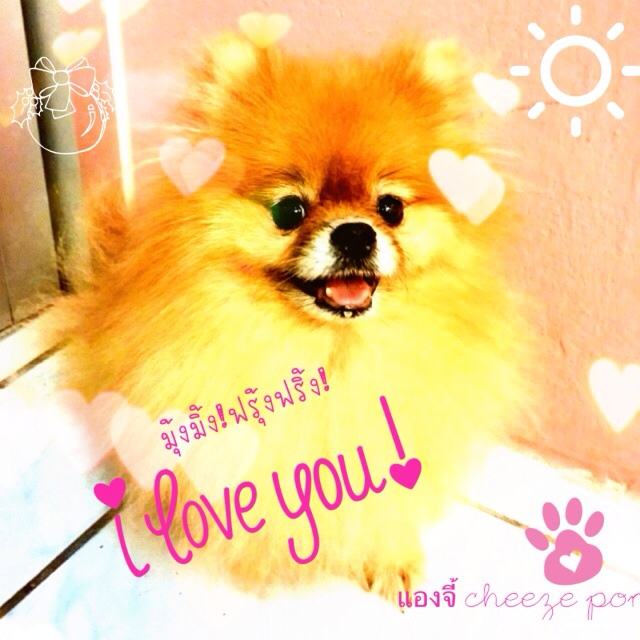 น้องปอมหลายอารมณ์