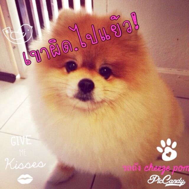 น้องปอมหลายอารมณ์