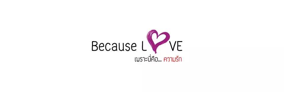 นักแสดงนำเรื่อง Because love the serie