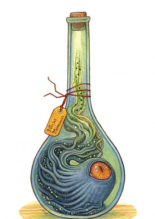 Octus Monoculus