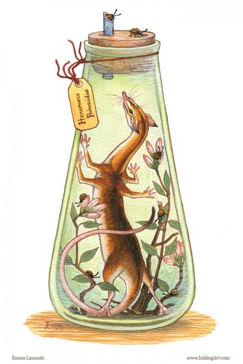 Hexapedal Shrew