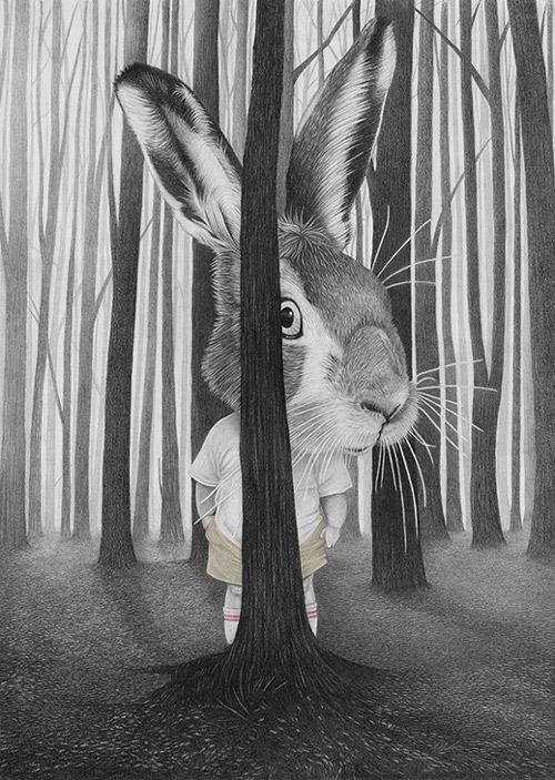 Where The Trees Are