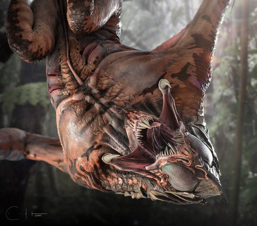 Shrieker Hanging From Branch