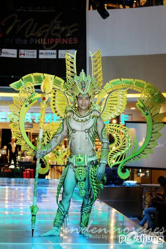 Misters of the Philippines 2014