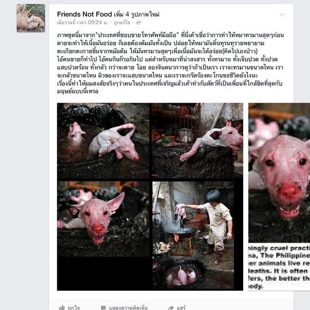 อั้ม พัชราภา ช่วยชีวิตสุนัข ที่เป็นมะเร็งทั้งตัว งามทั้งกายทั้งใจ จริงๆ!!