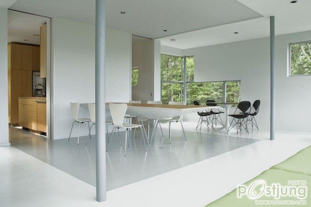 GLASS TOWER HOUSE IN NEW YORK