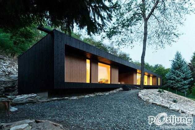 Timber Cabin Built into Cliff Side Site