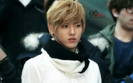 Kris Exo who left Exo