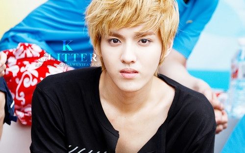 Kris Exo who left Exo