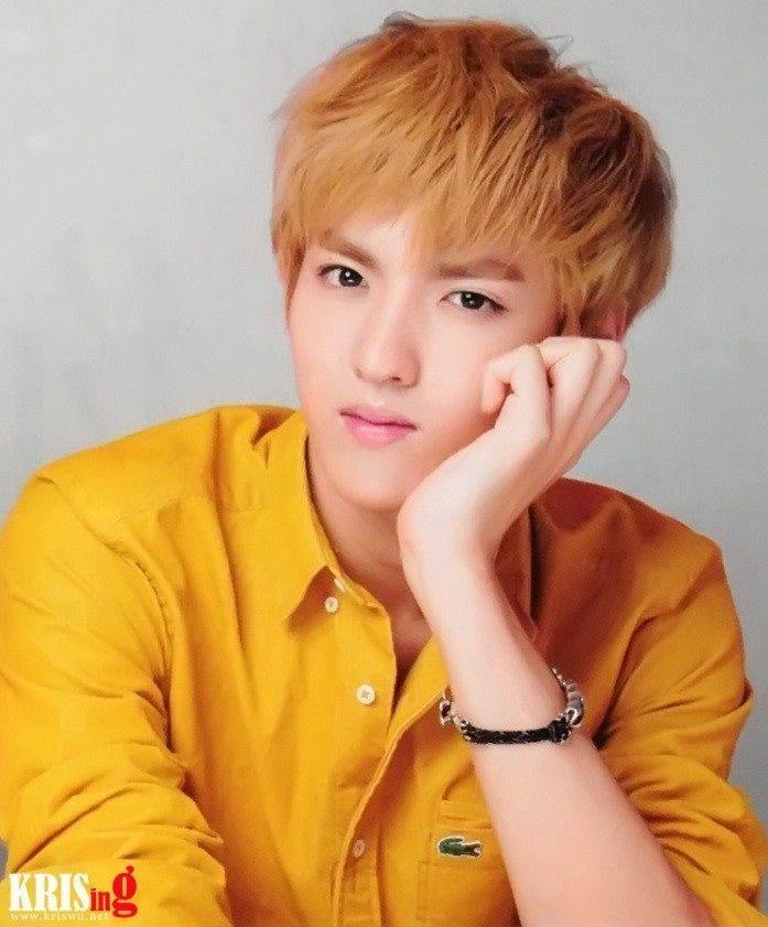 Kris Exo who left Exo