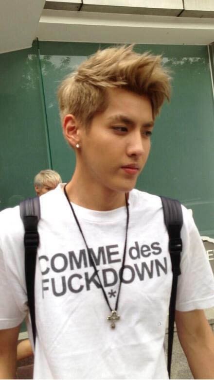 Kris Exo who left Exo