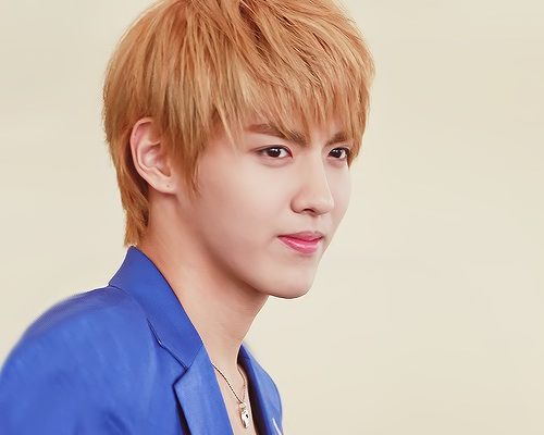 Kris Exo who left Exo