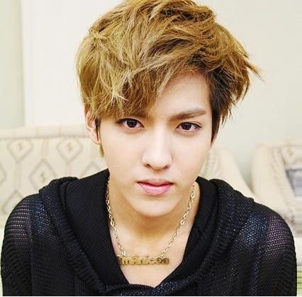 Kris Exo who left Exo