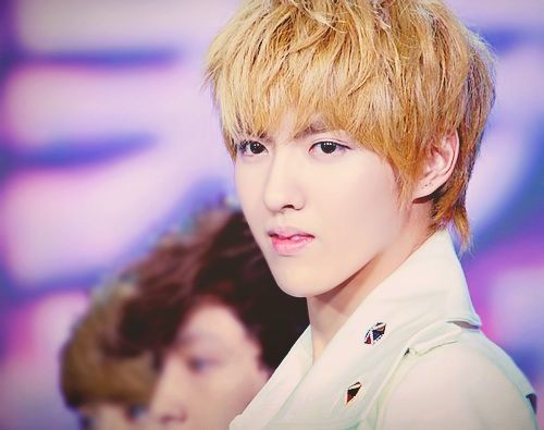 Kris Exo who left Exo