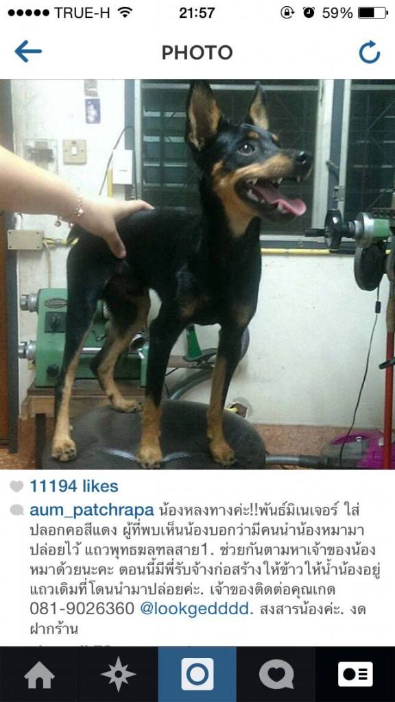 " อั้ม พัชราภา " เอาจริงแล้ว กับ พวก ไม่รู้ ไม่มีมารยาท ใน IG !!