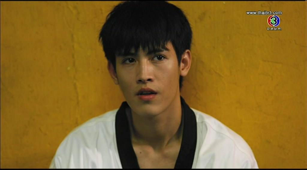แชบอะ ...บันทึกกรรม 2557-9-4 ภูมิแพ้ หัวใจไม่แพ้