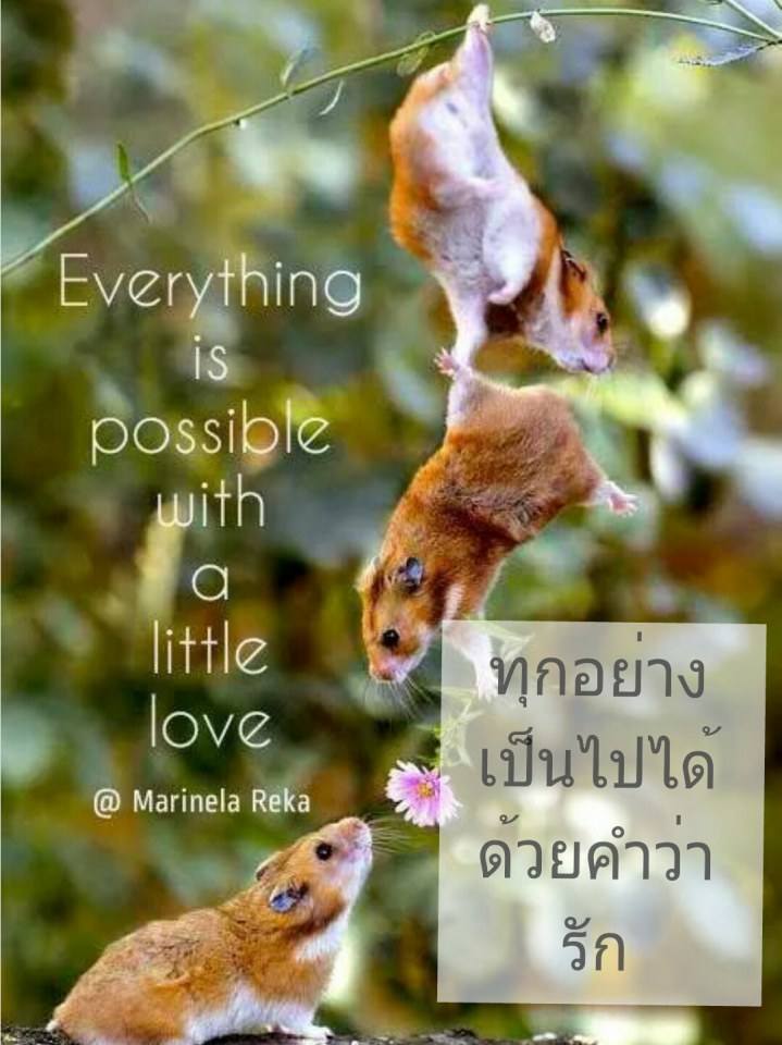 English with Thai โดนใจไทยอังกฤษ (5)