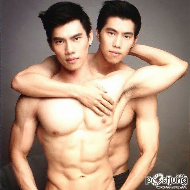 นกเขาคูคู่คู้   @บารวี 332