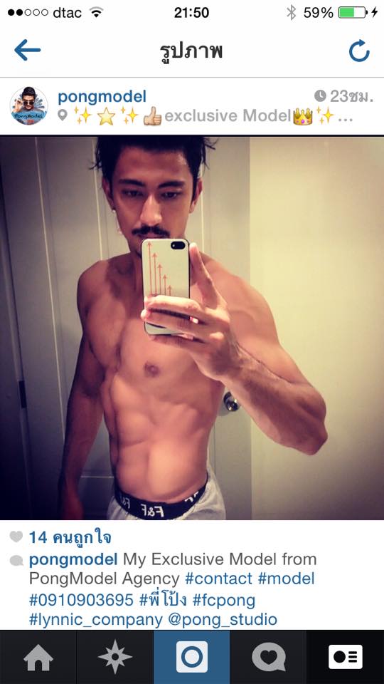 sylester pongmodel