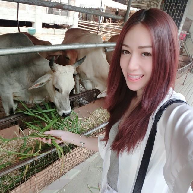 พาย พิมพ์พัชร ขาว สวย หุ่นนางแบบ